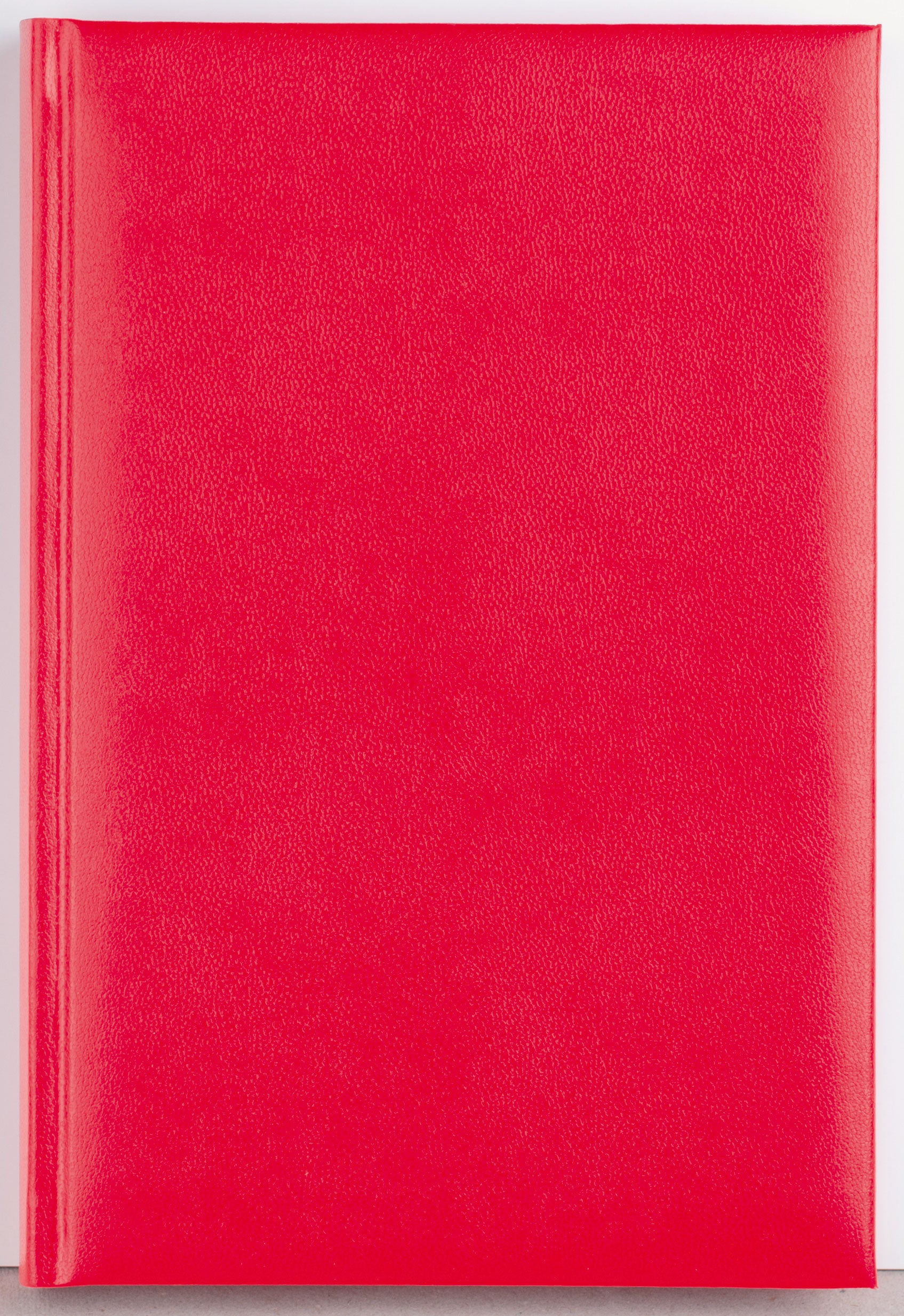 AGENDA A5 ZILNICA ROSIE 2025 BASIC EGO AGENDA A5 ZILNICA ROSIE 2025 BASIC EGO